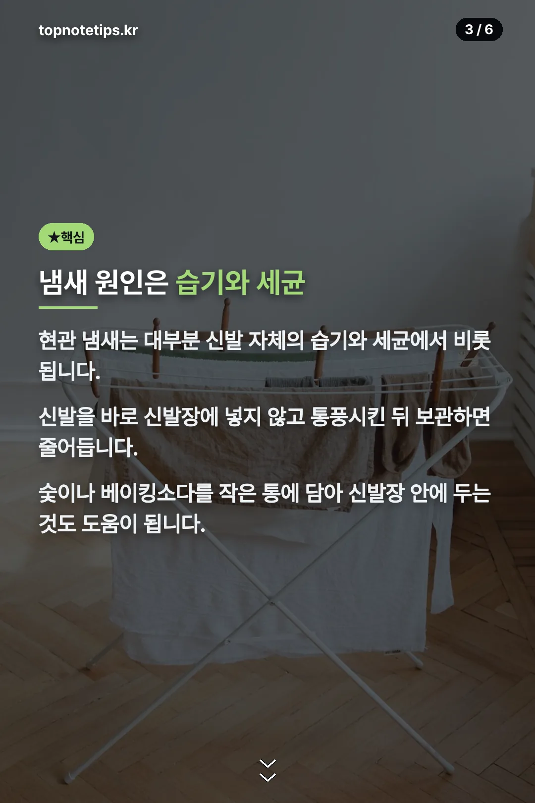 냄새 원인과 대처