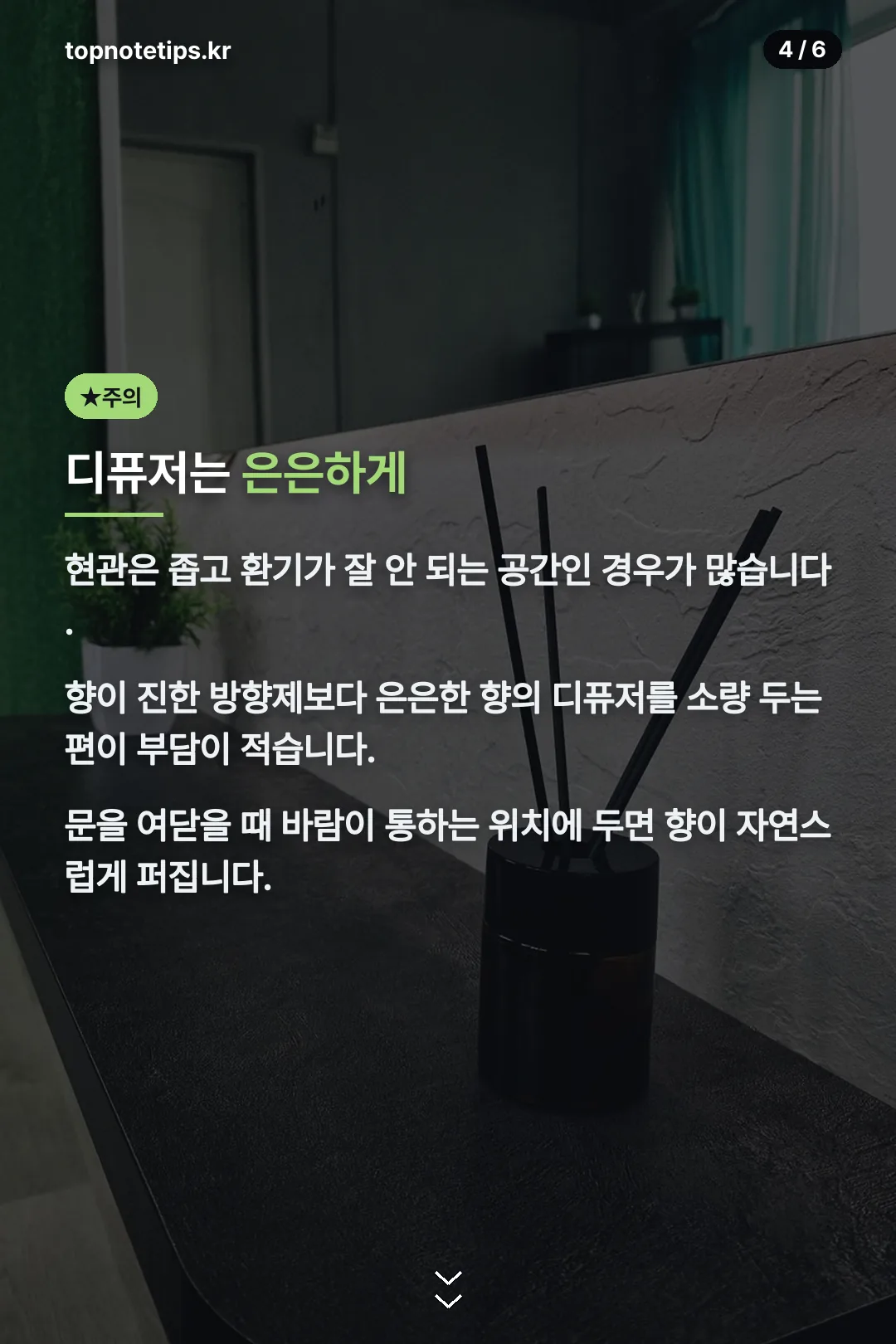 디퓨저 배치 팁