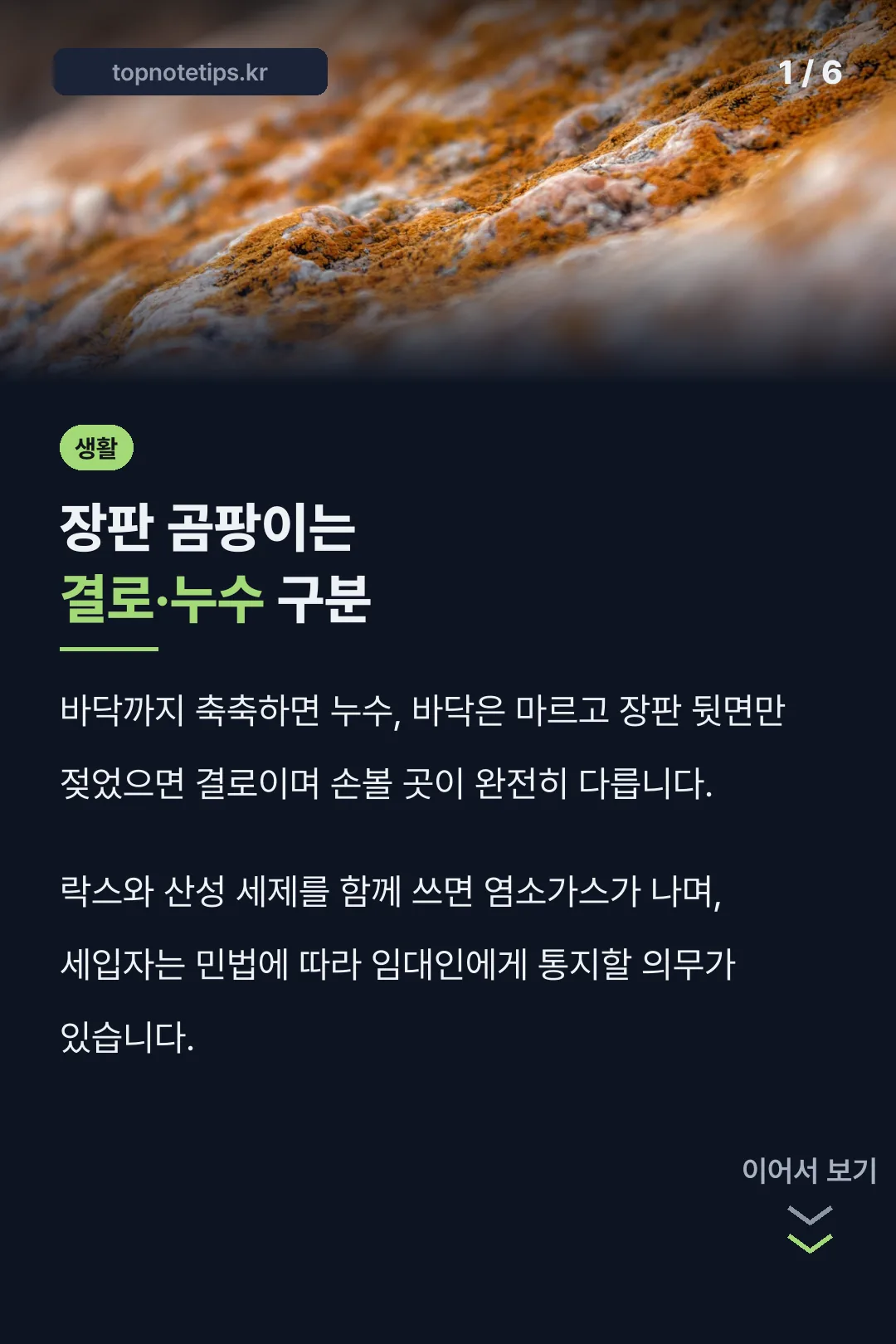 장판 곰팡이는 결로·누수 구분