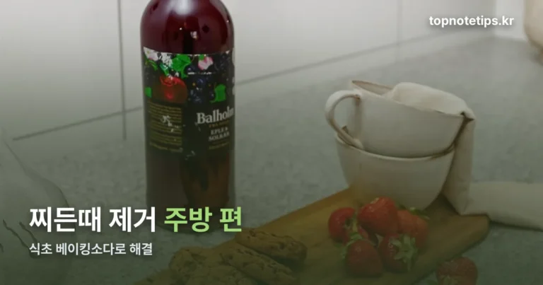 찌든때 제거 — 주방 가스레인지 전자레인지 식초 베이킹소다 방법