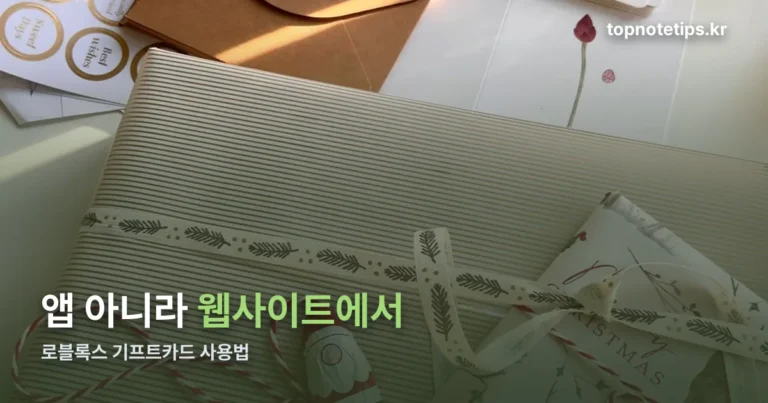 로블록스 기프트카드 사용법 — 앱 말고 웹사이트에서