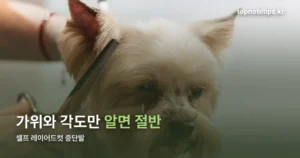 셀프 레이어드컷 중단발 — 가위와 각도만 알면 절반은 끝납니다
