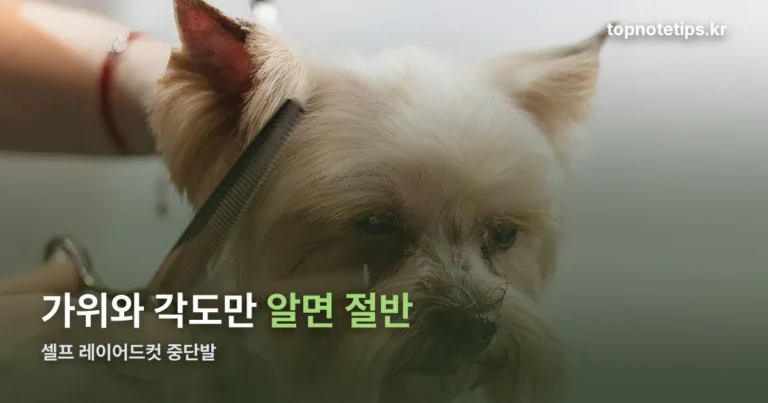 셀프 레이어드컷 중단발 — 가위와 각도만 알면 절반은 끝납니다