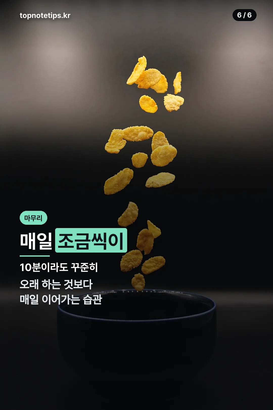 꾸준함이 핵심