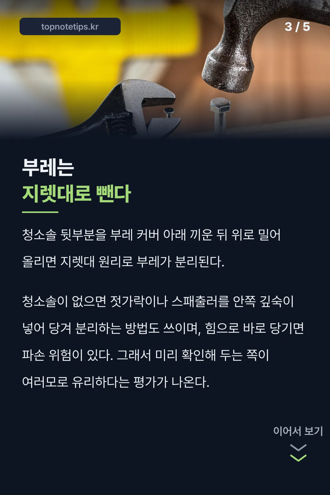 부레 지렛대 분리법