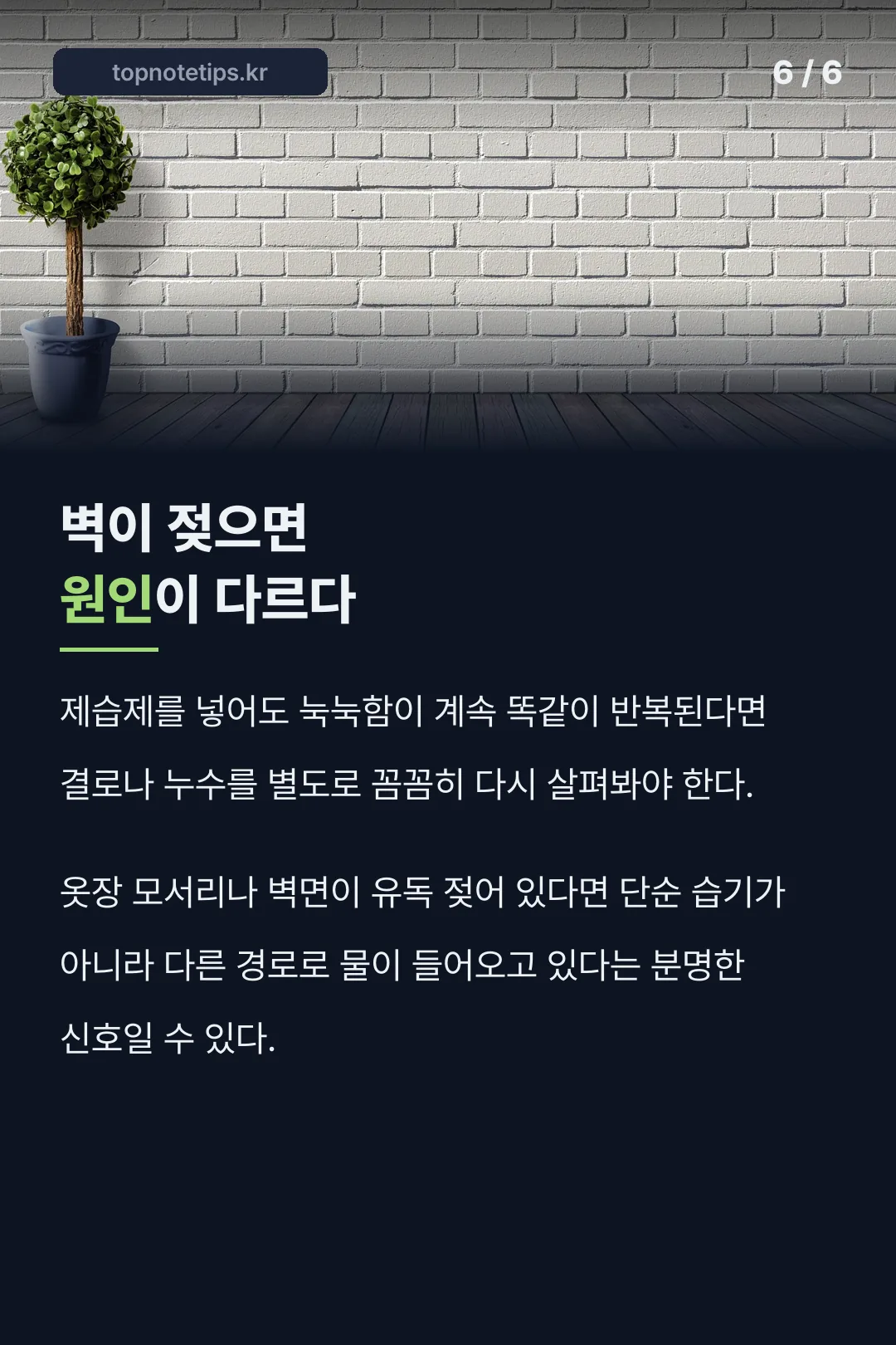벽이 젖을 때의 다른 원인
