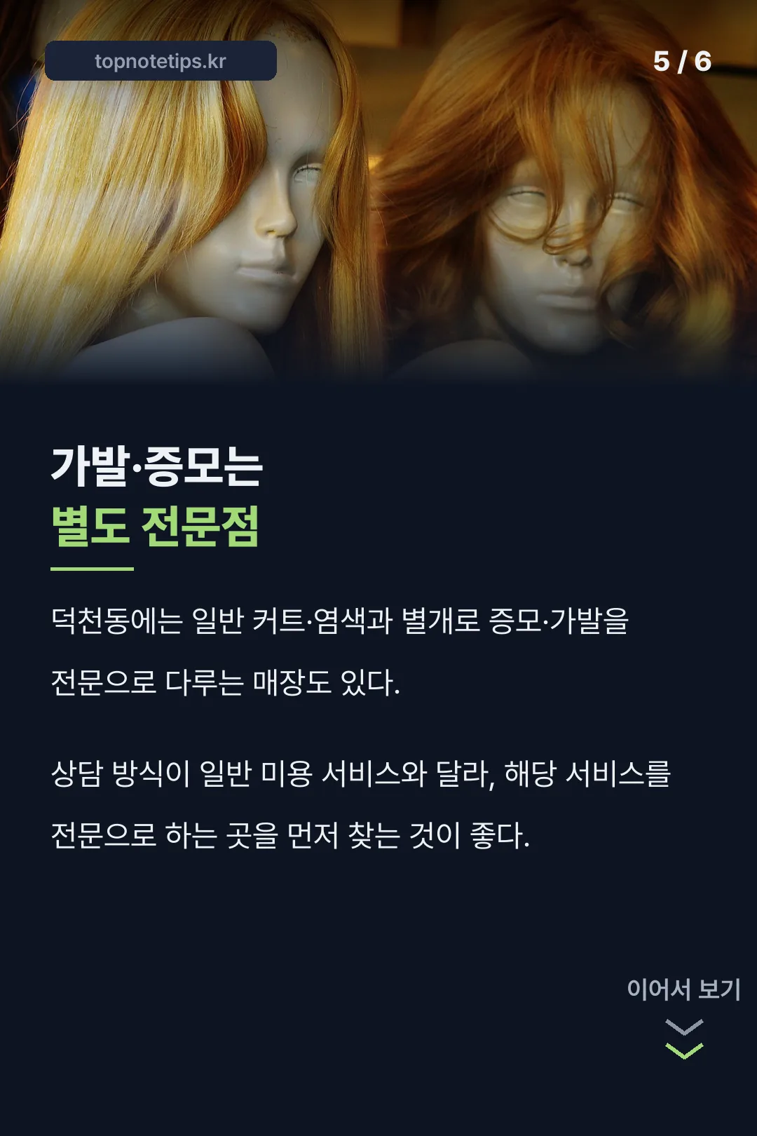 가발·증모 전문점 별도