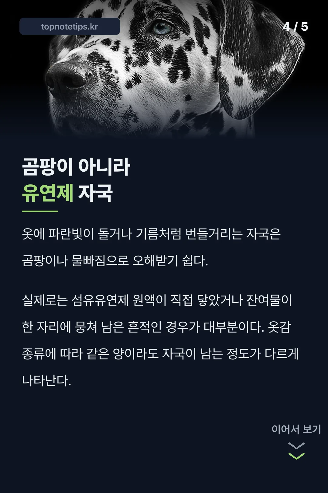 곰팡이 오해 바로잡기