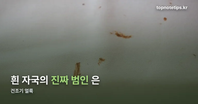 건조기 얼룩 정리 썸네일