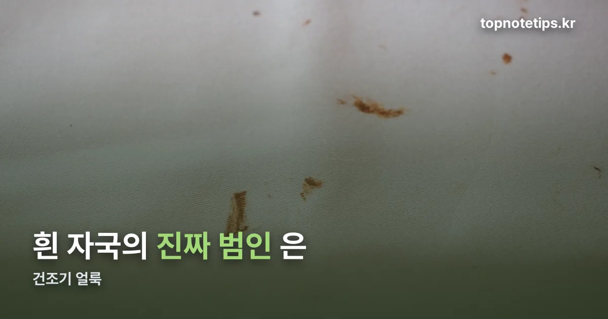 건조기 얼룩 정리 썸네일
