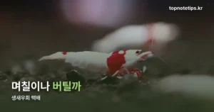 생새우회 택배 — 받고 나서 당일 안에 먹어야 하는 이유