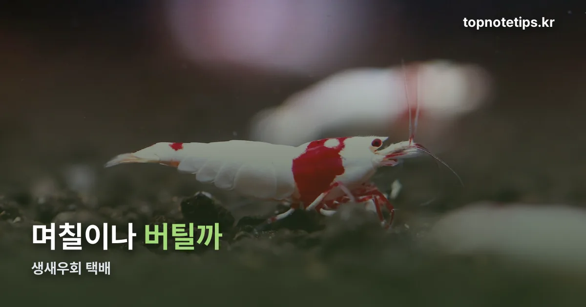 생새우회 택배 정리 썸네일