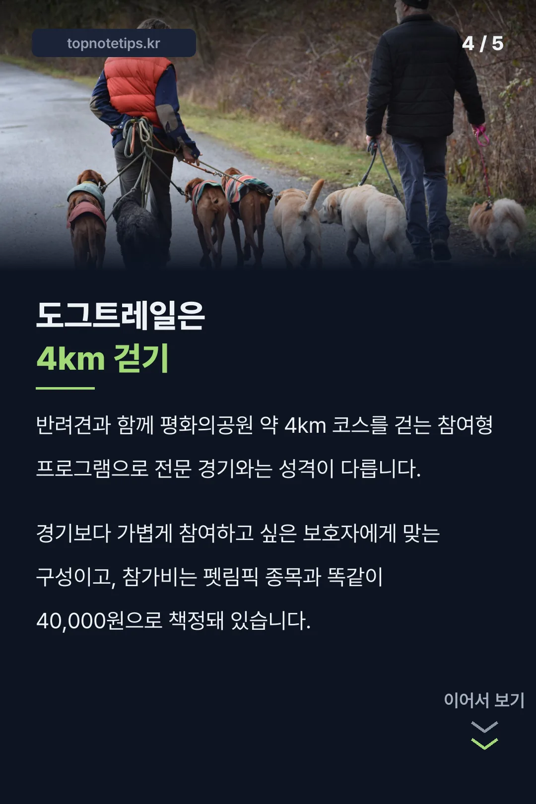 도그트레일 4㎞ 걷기