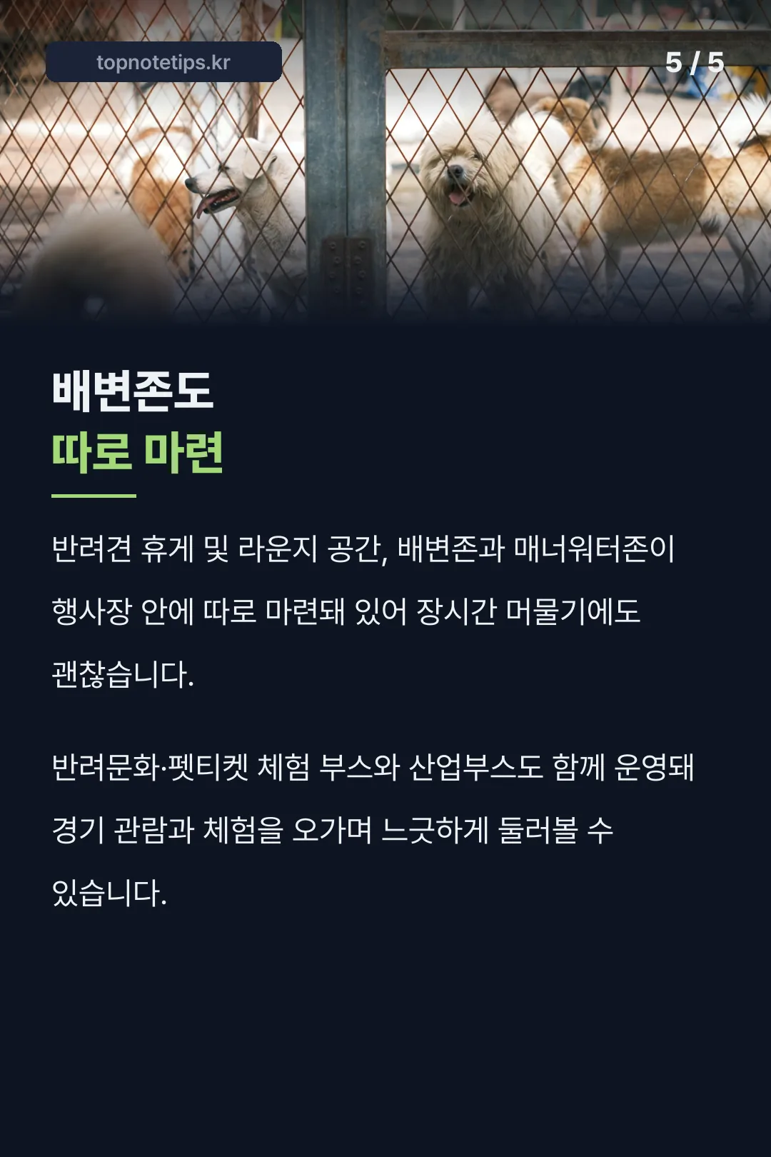 배변존·매너워터존