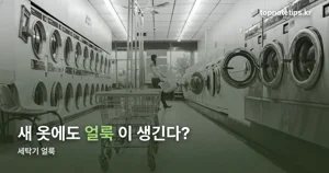 세탁기 얼룩, 지방산·미네랄·세제잔여물 원인 구분