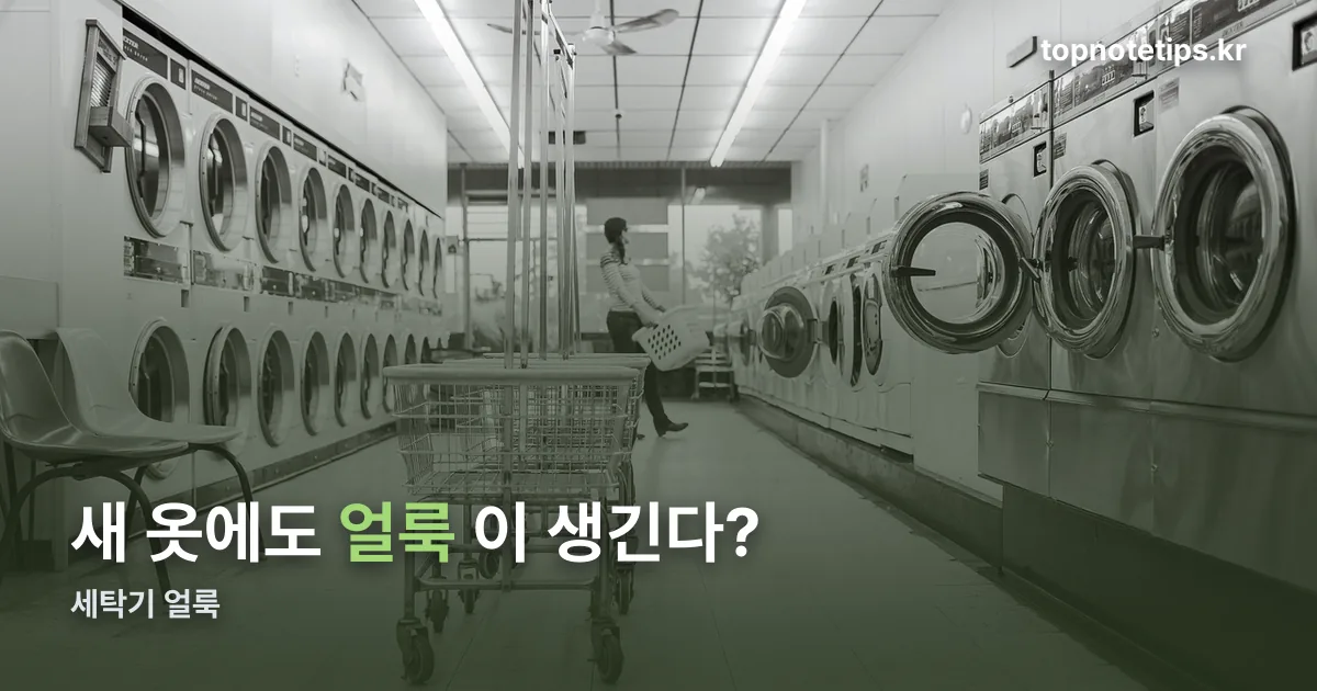 세탁기 얼룩 정리 썸네일