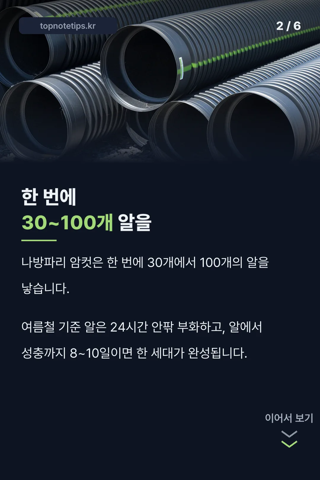 한 번에 30~100개 알을