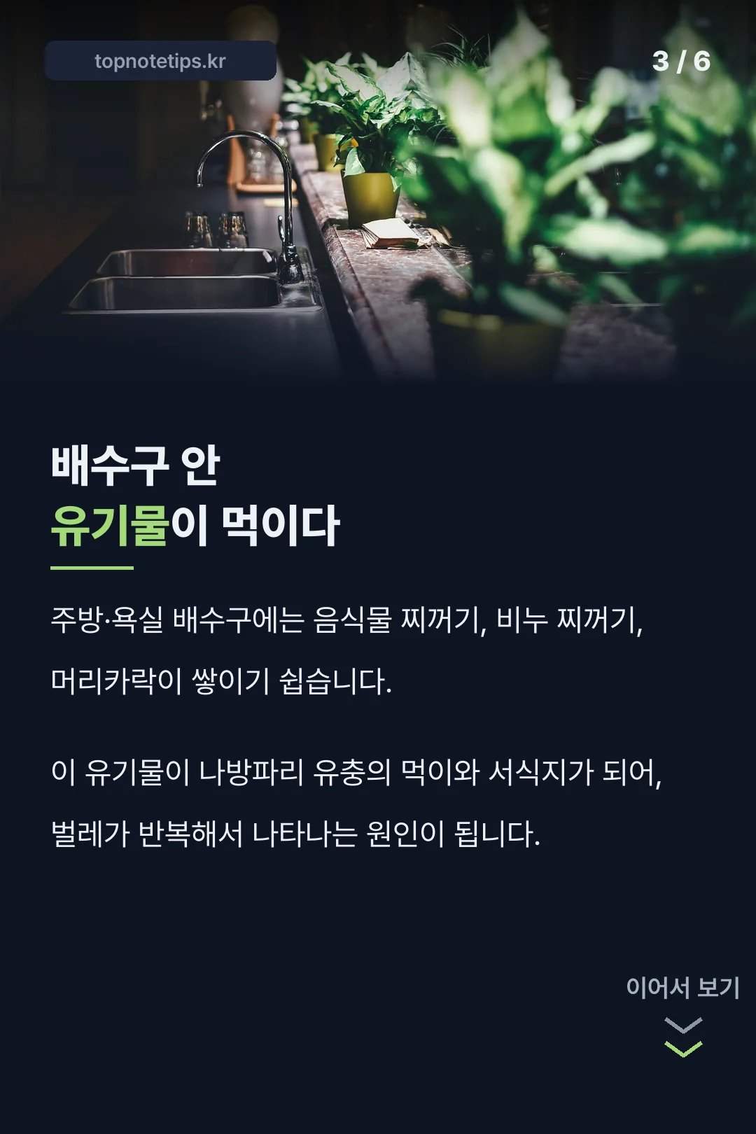 배수구 안 유기물이 먹이다