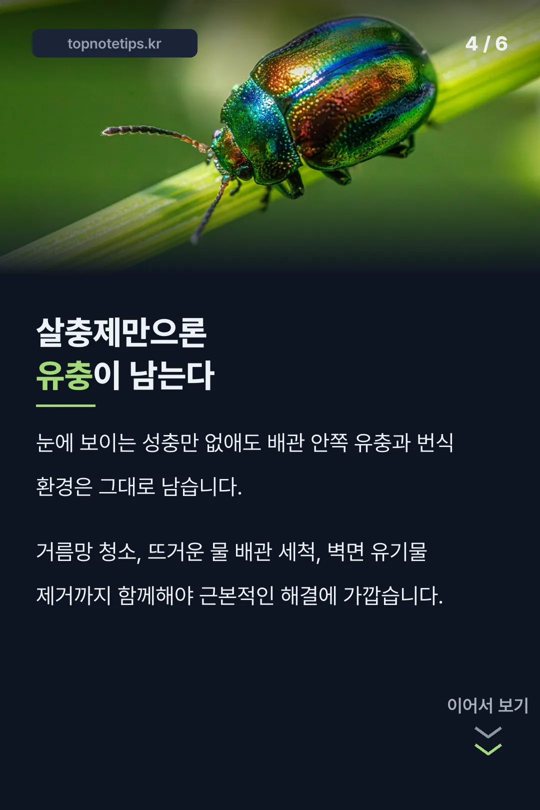 살충제만으론 유충이 남는다