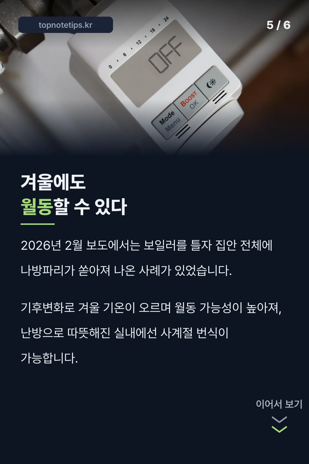 겨울에도 월동할 수 있다