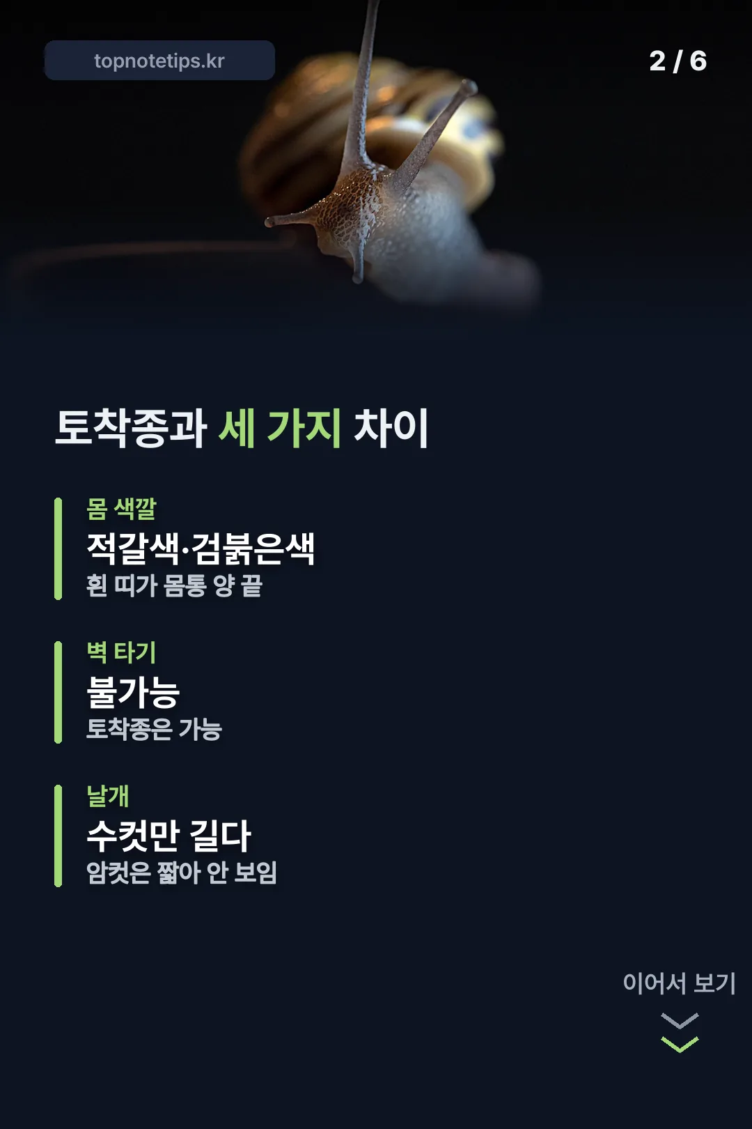 토착종과 구별하는 세 가지