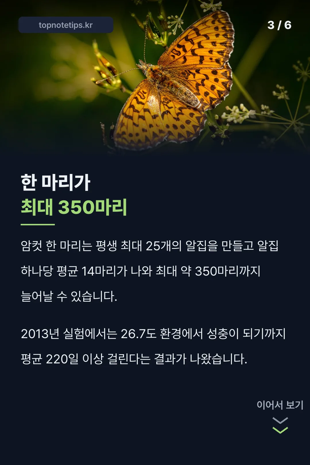 한 마리 최대 350마리 번식력