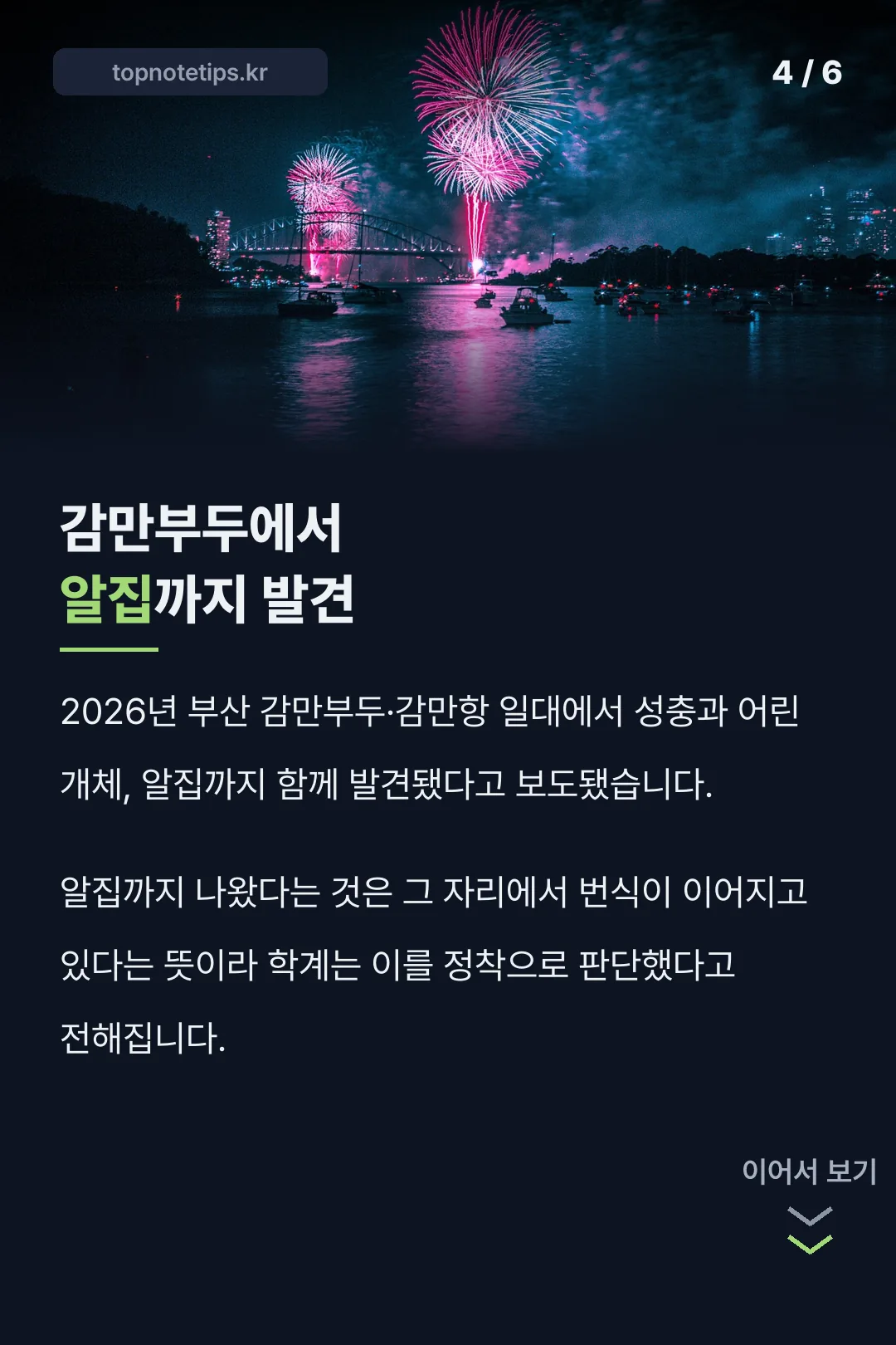 부산 감만부두 알집 발견