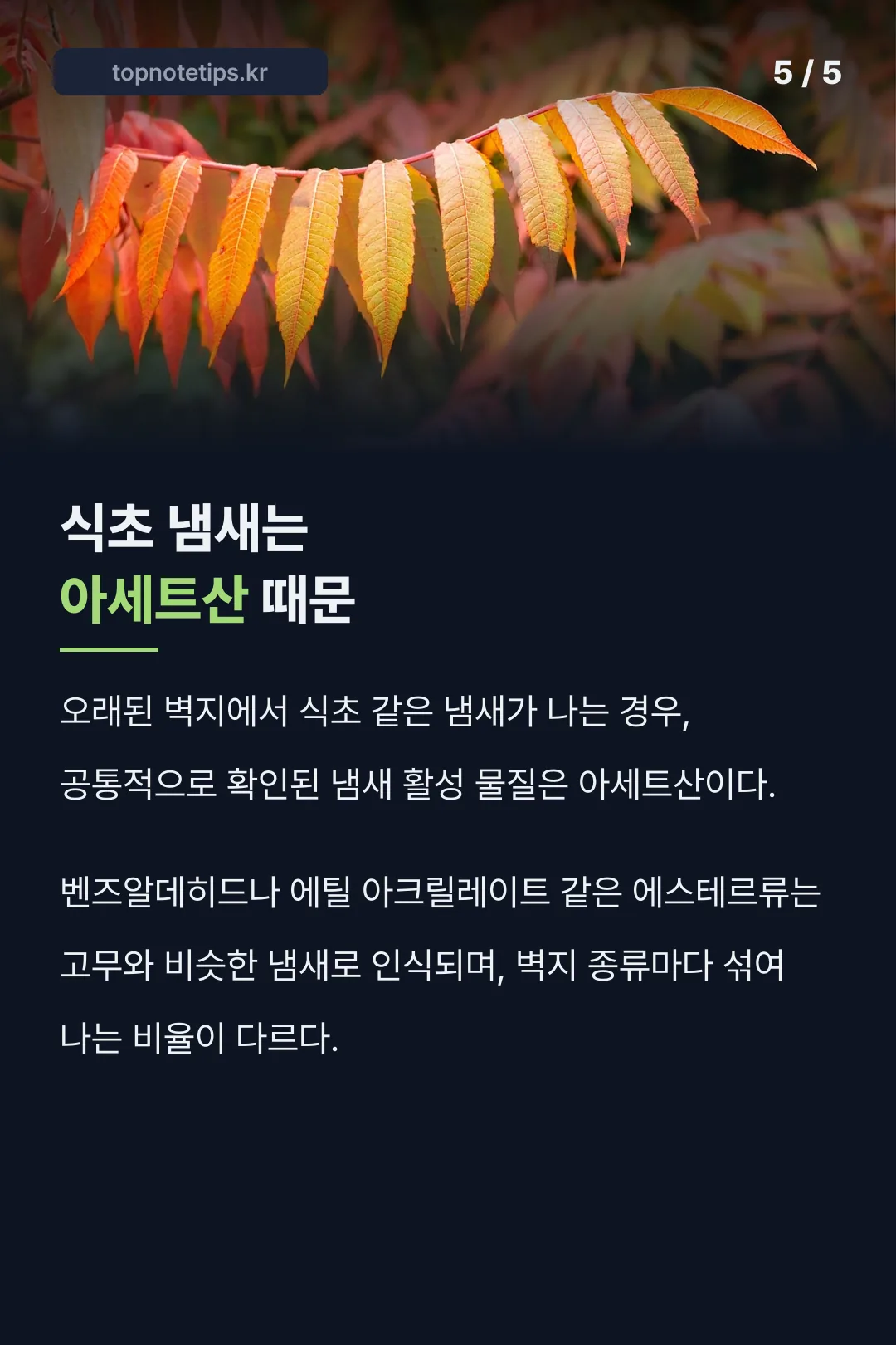 식초 냄새는 아세트산 때문